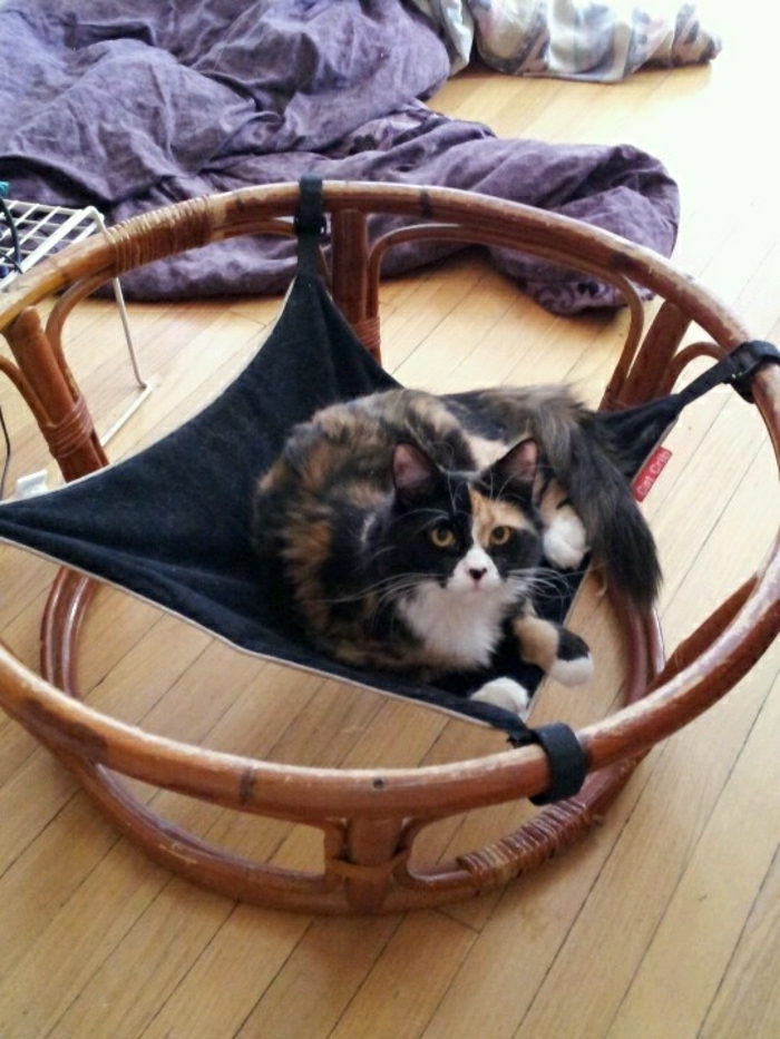 papasan-Stuhl-Ständer-Katzen-Hängematte