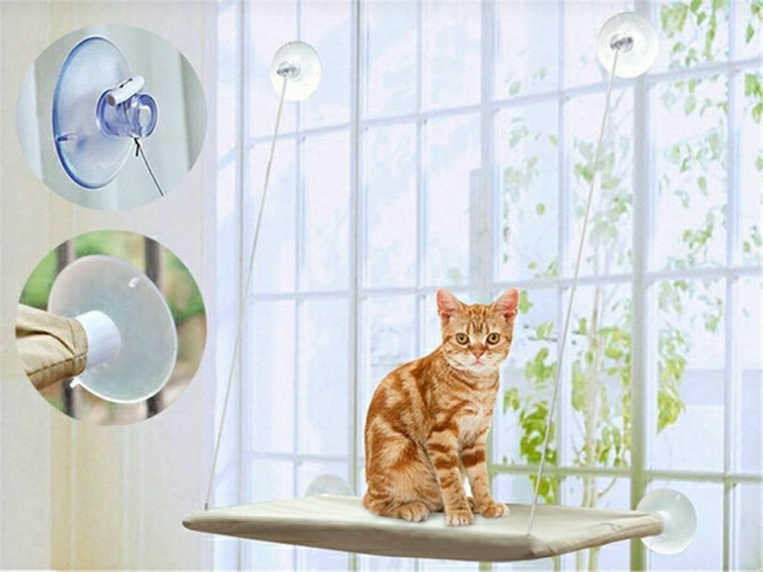 rostrote-Katze-Hängematte-beige-Fenster-gehängt