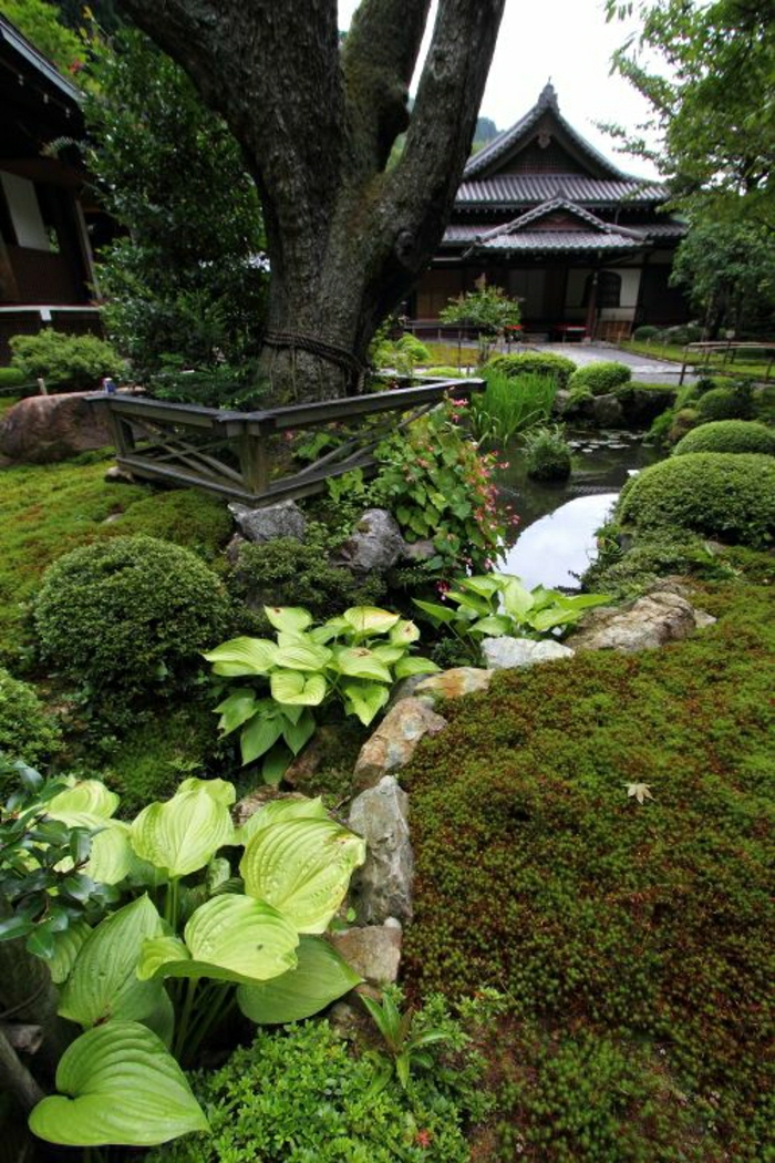 zen-garten-japanisch-asiatisch-Wasser-Pflanzen