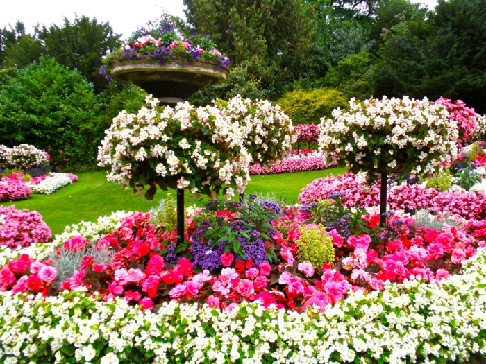 Blumen-Blüten-grelle-Farben-Garten-englisches-Modell