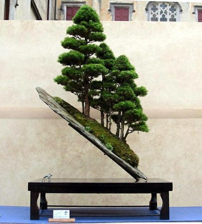 Bonsai-Bäume-Ständer-ungewöhnliche-Komposition