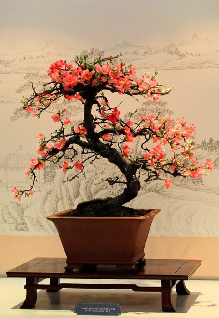 Bonsai-romantsich-aussehende-Blüten-attraktiv-schön