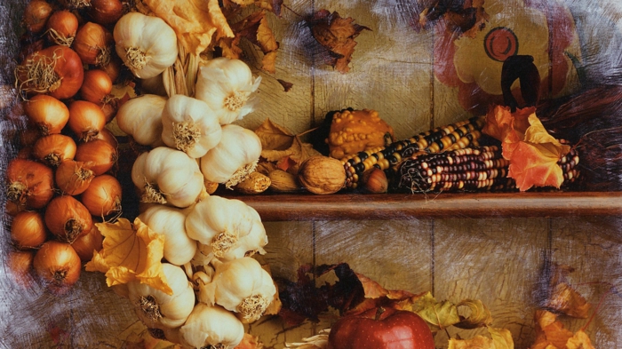 Window display of autumn harvest foods