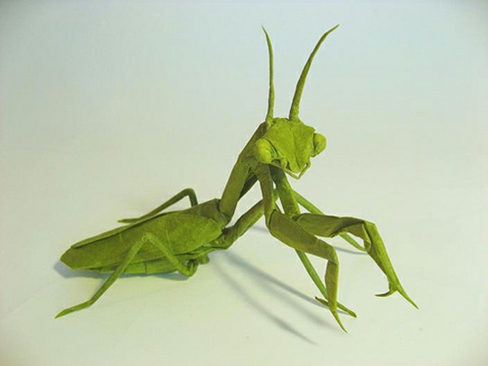 origami-tiere-grüne-heuschrecke