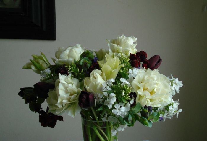 Vase-Strauß-verschiedene-Blumen-schwarze-Tulpen-Mauerblümchen-Pfingstrosen-herrlich-Frühling