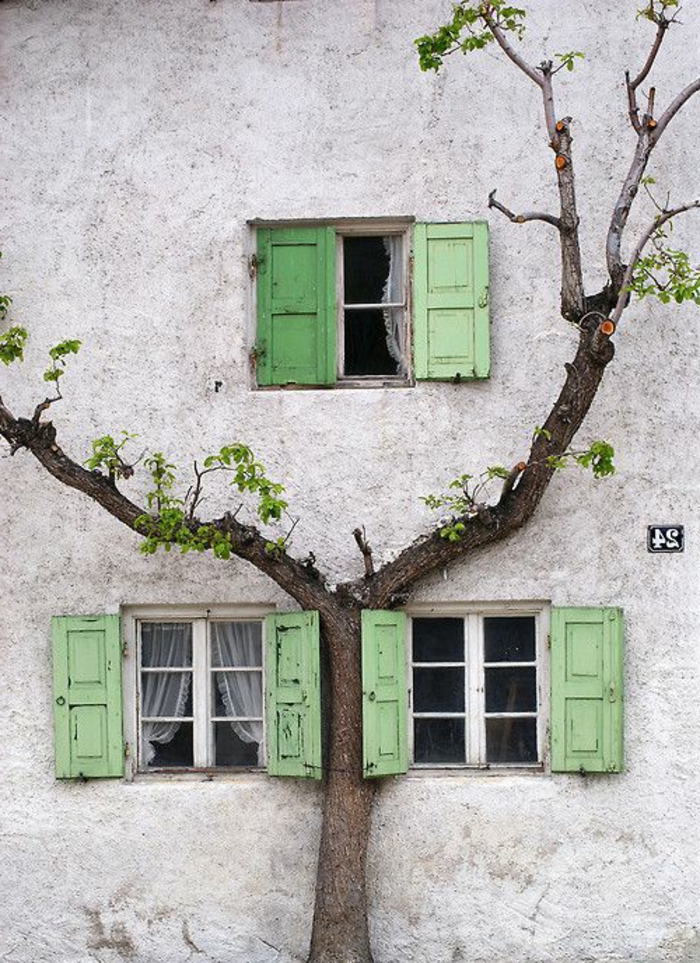 altes-Gebäude-Baum-kleine-Fenster-grüne-Läden-vintage