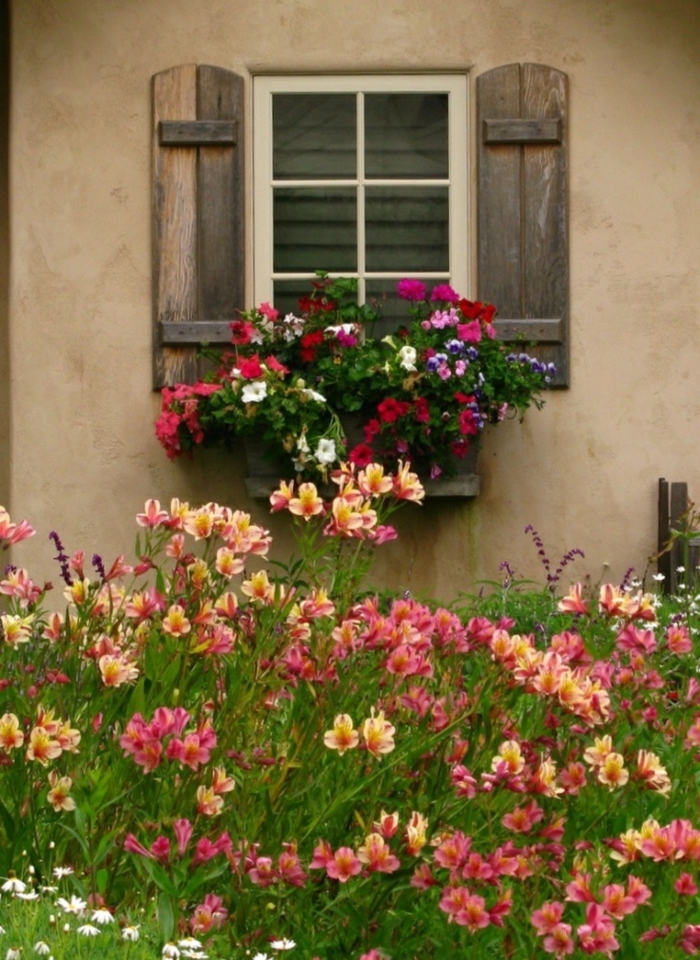 altes-Haus-Garten-schöne-Blumen-Fensterladen-Holz