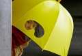 Ausgefallene Regenschirme: 32 originelle Modelle!