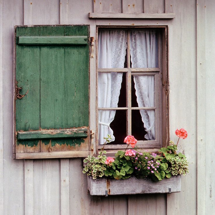 bezauberndes-Foto-kleines-Fenster-Blumen-schöne-weiße-Gardinen-Fensterläden-Holz-romantisch