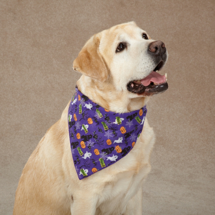 KNAUDERS Best Halstuch Super Dog Rosa S - Elastisches Hundetuch Mit Aufdruck