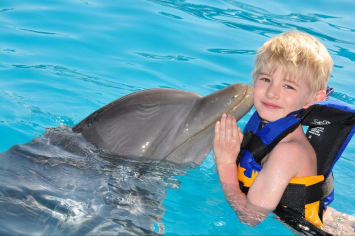 mit-delfinen-schwimmen-ein-blonder-junge
