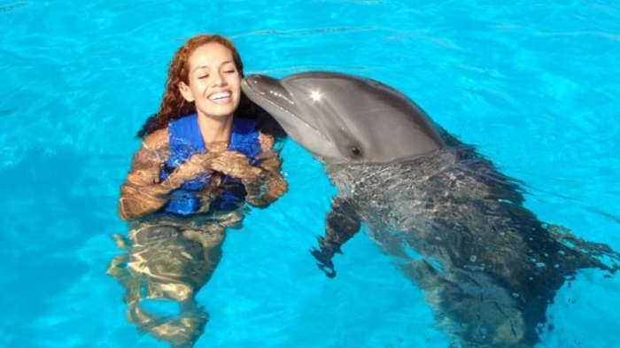 mit-delfinen-schwimmen-ein-glückliches-mädchen