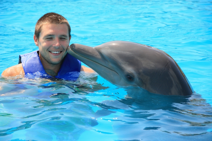 mit-delfinen-schwimmen-ein-junge-lächelt