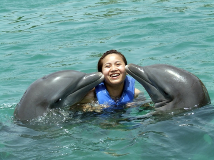mit-delfinen-schwimmen-ein-tolles-mädchen
