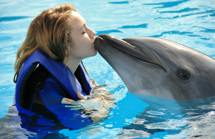 mit-delfinen-schwimmen-eine-frau-küsst-das-tier