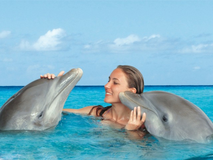 mit-delfinen-schwimmen-eine-frau-zwischen-zwei-tieren