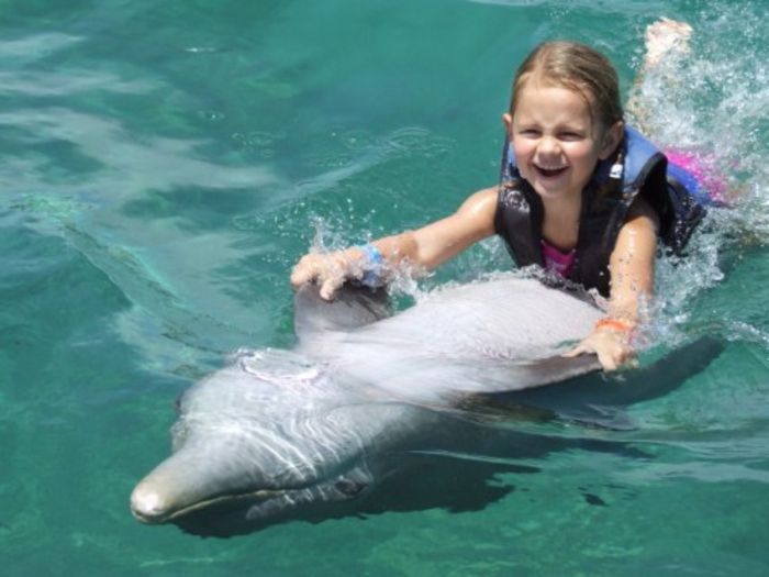 mit-delfinen-schwimmen-spaß-haben