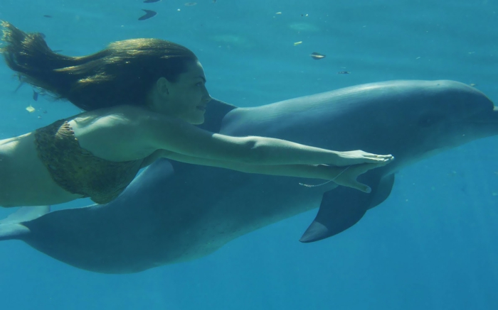 mit-delfinen-schwimmen-super-bild