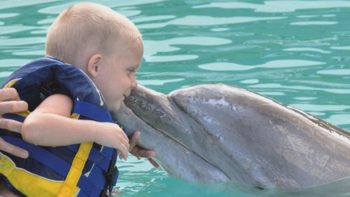 mit-delfinen-schwimmen-super-schönes-foto-kleines-baby