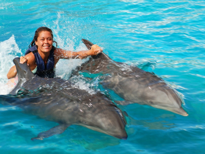 mit-delfinen-schwimmen-super-schönes-foto