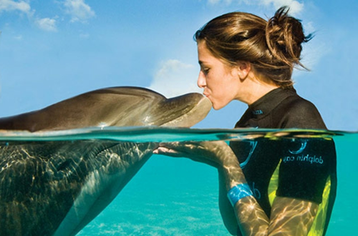 mit-delfinen-schwimmen-wunderschön-unter-dem-wasser
