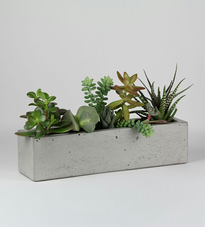 pflanzkübel-aus-beton-alles-in-grau