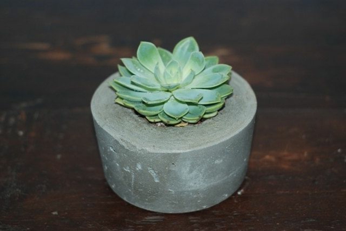 pflanzkübel-aus-beton-kleines-schönes-modell