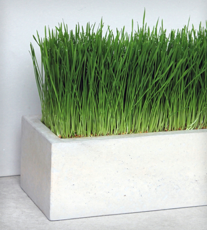 pflanzkübel-aus-beton-weißes-modell