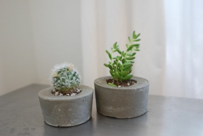 pflanzkübel-aus-beton-zwei-interessante-designs