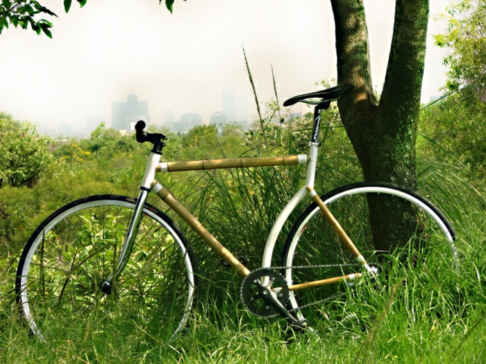 weißes-Bambus-Fahrrad-natürlicher-Rahmen-Natur-Baum-Spaziergang