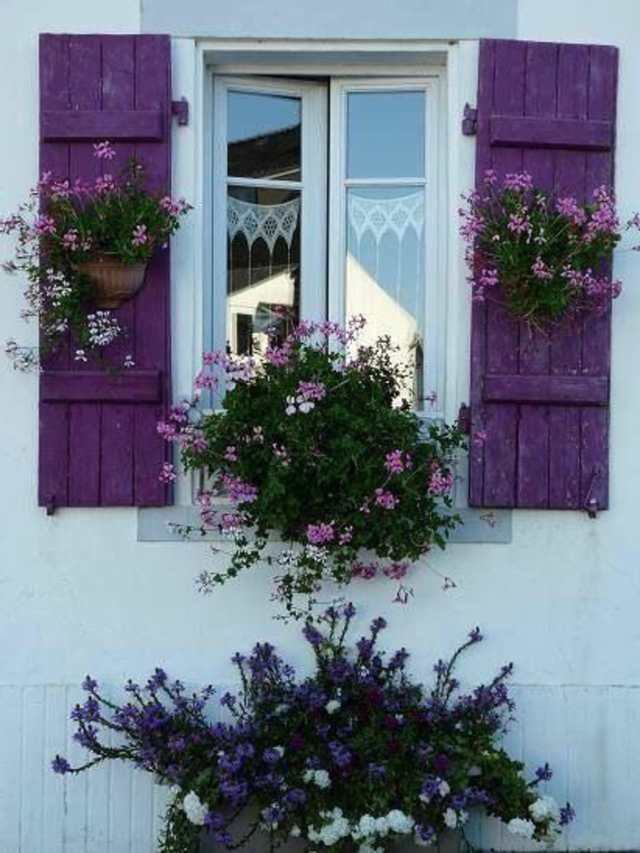 weißes-Haus-lila-Fensterläden-exotische-Blumen