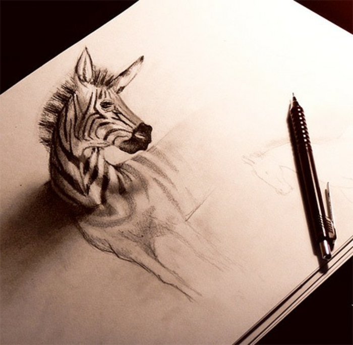 zeichnungen-mit-bleistift-eine-zebra