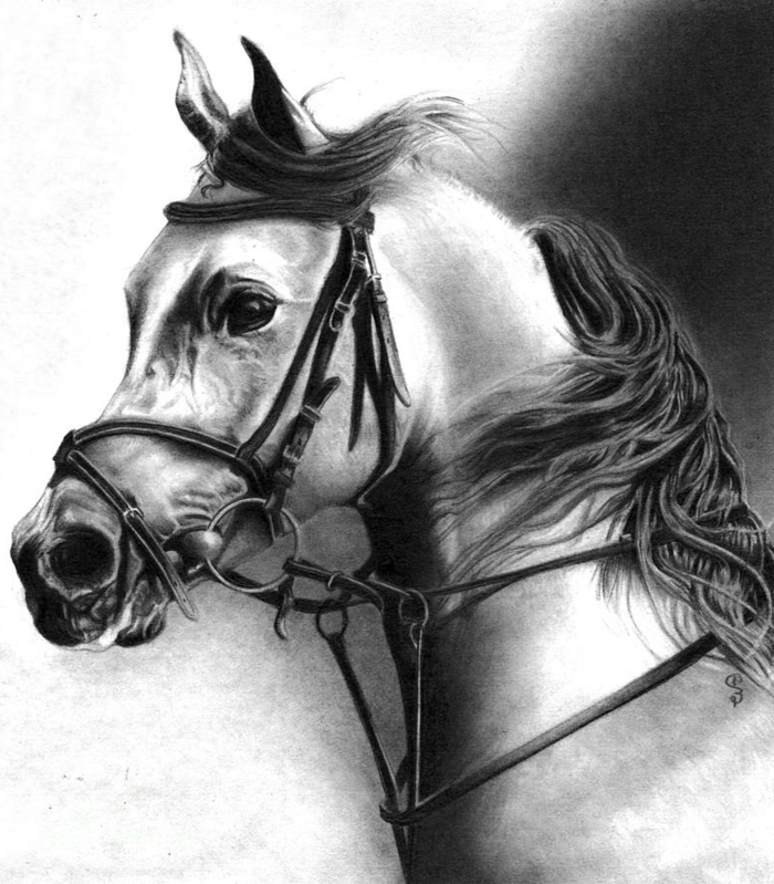 zeichnungen-mit-bleistift-super-realistisch-aussehen-ein-pferd