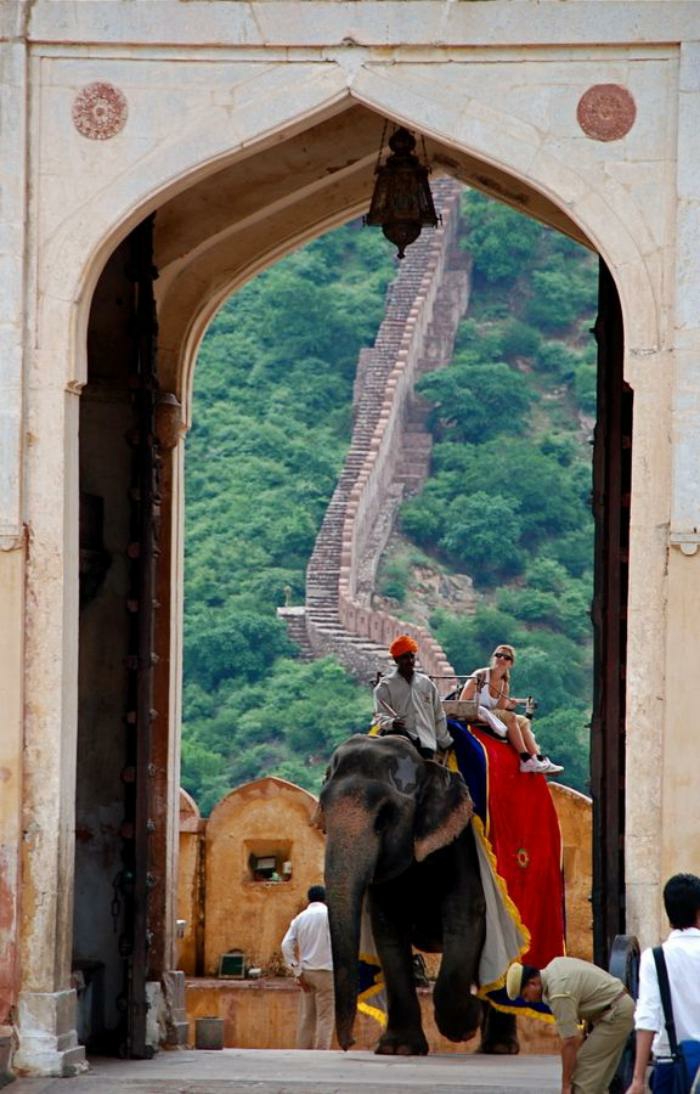 Indien-Rundreise-mit-Elefanten-in-Palast