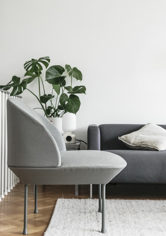 Wohnzimmer-gemütliches-Interieur-minimalistische-Einrichtung-Topfpflanze-graues-Sofa-Loungesessel