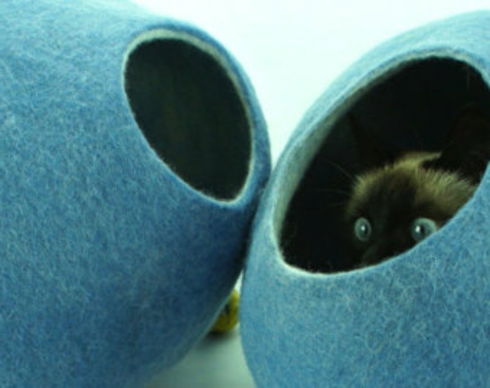 katzen zubehör -Siamkatze-blaue-betten