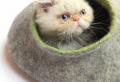 Katzenzubehör – einige Ideen für cooles Katzenbett
