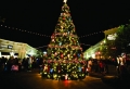 Weihnachtsbaum mit Beleuchtung: 40 unikale Fotos!