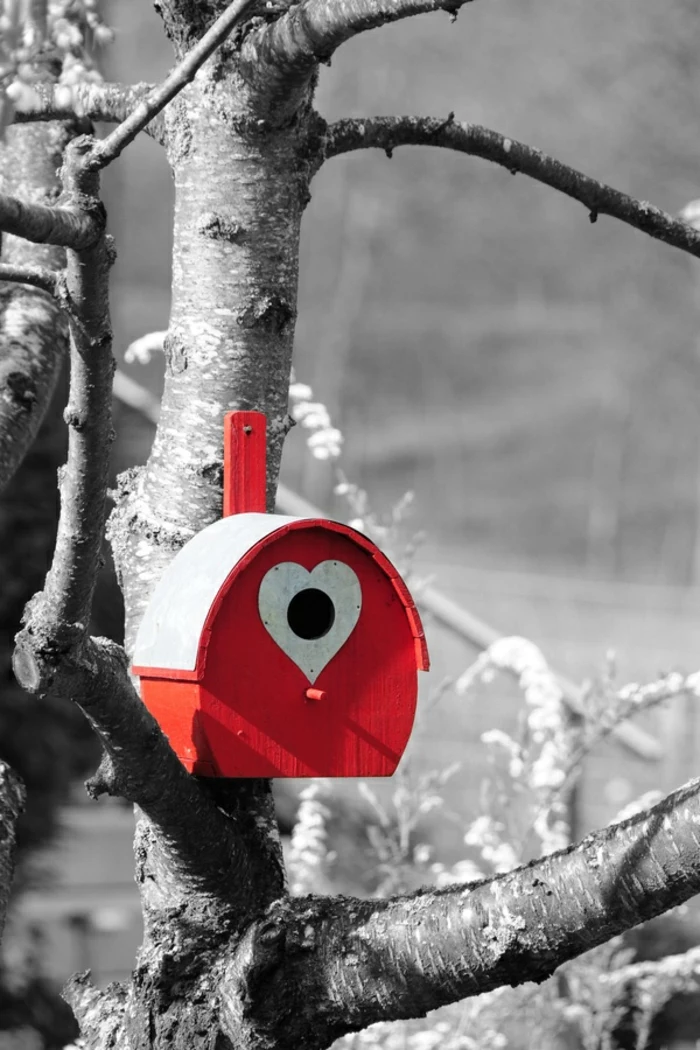 schwarz-weißes-Foto-Baum-dekoratives-vogelhäuschen-rot-weiß