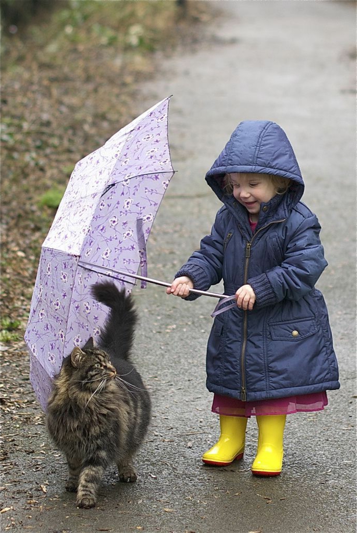süßes-Kind-gelbe-Siefel-lila-Kinder-Regenschirm-Katze-lustige-Situation