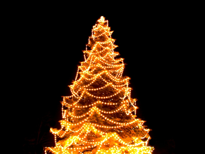 tannenbaum-künstlich-led-beleuchtung-schwarzer-hintergrund