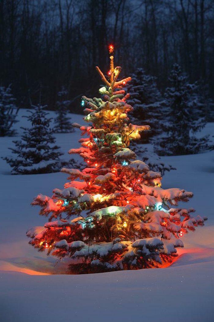 unikale-weihnachtsbaum-deko-für-außen