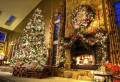 Weihnachtsbaum mit Beleuchtung: 40 unikale Fotos!