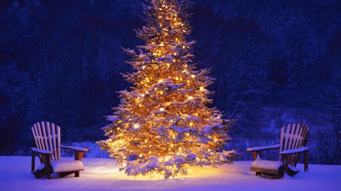 weihnachtsbaum-mit-beleuchtung-wunderschönes-ambiente