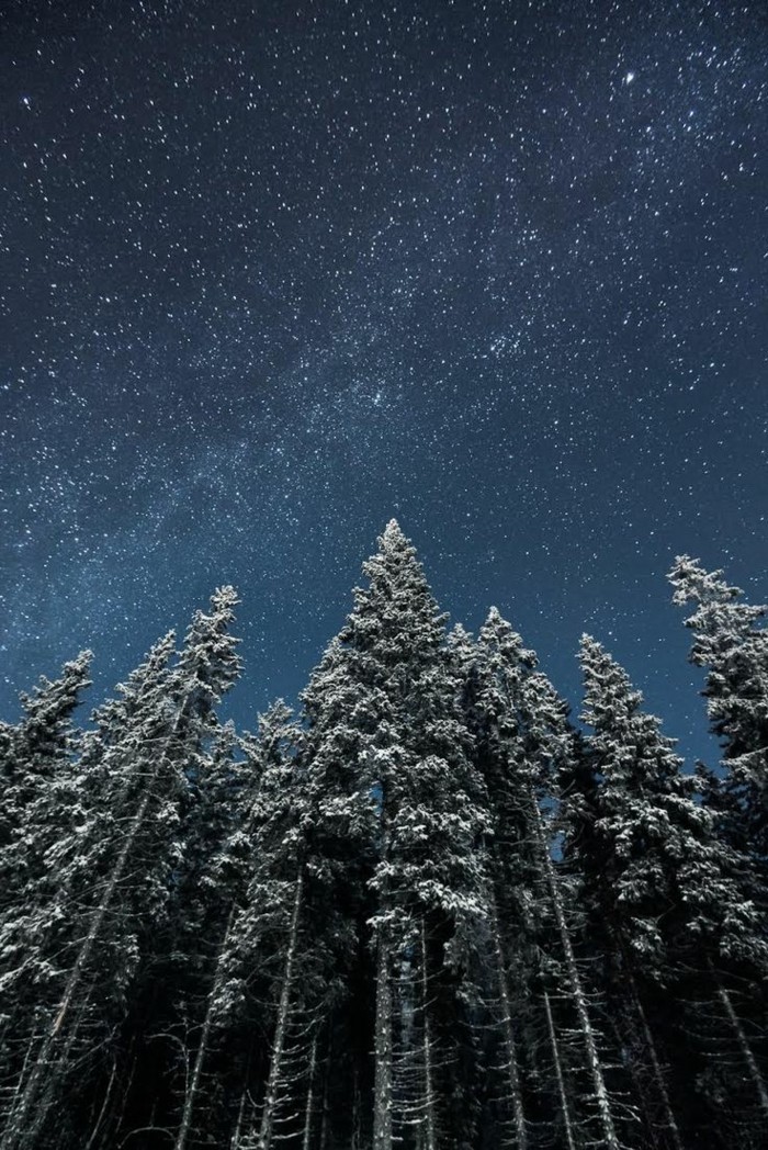 Bilder-Winterlandschaft-Finnland-großartige-Bäume