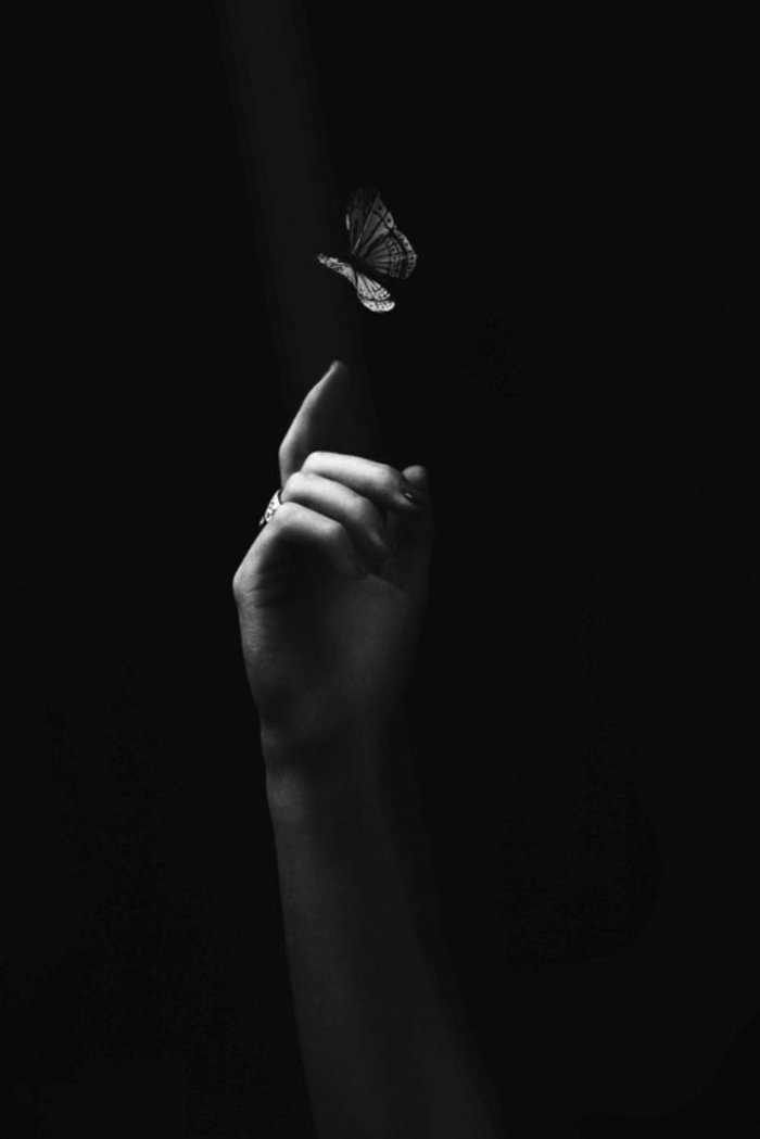 Fine-Art-Fotografie-Schmetterling-auf-dem-Finger