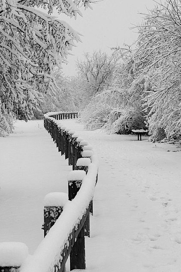 Winterbild-von-Minnesota-Wintermotive-Schnee-Romantik