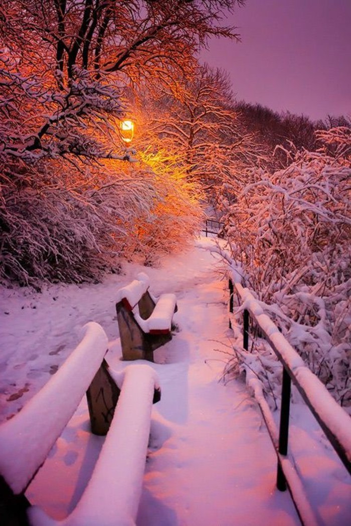Winterimpression-Winterlandschaft-Bilder-romantische-Atmosphäre
