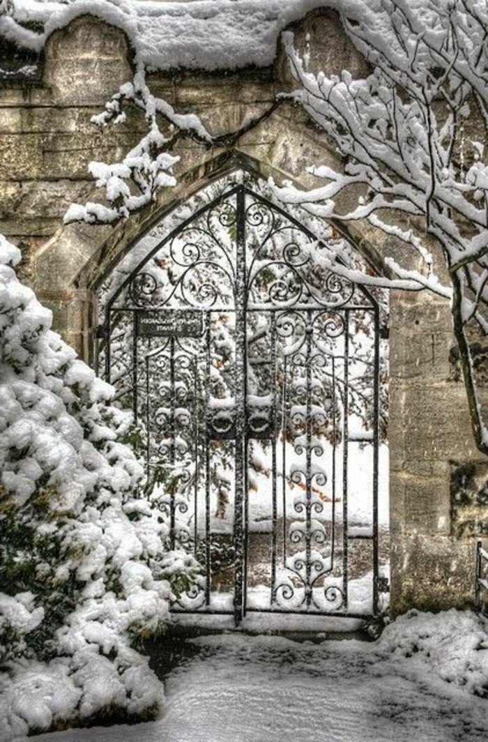 aristokratisches-Winterbild-Tor-aus-Eisen-Bäume-bedeckt-mit-Schnee