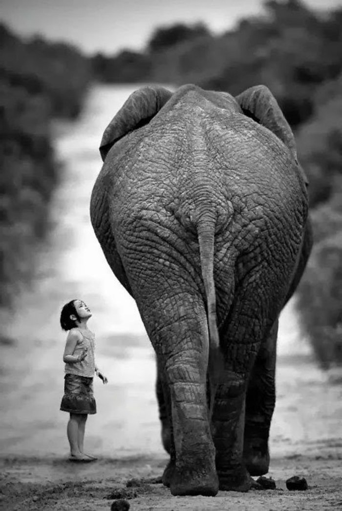 artistische-schwarz-weiße-Fotokunst-Elefant-und-kleines-Kind-Kontrast